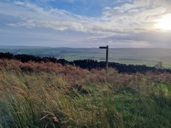 Attic24: January Moments Attic24: January Moments