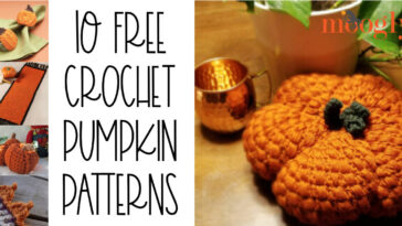 It’s Pumpkin Everything with 10 Free Crochet Pumpkin Patterns!