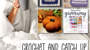 Crochet and Catch Up with Moogly