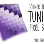 Corner to Corner Tunisian Pixel Blanket