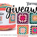 Bernat All-In-One Blanket Granny Yarn Giveaway on Moogly