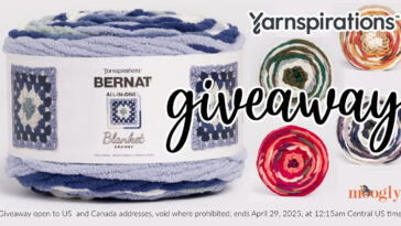 New Shades, New Bernat All-In-One Blanket Granny Yarn Giveaway!