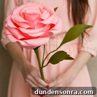featured 11512