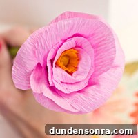 featured 12055