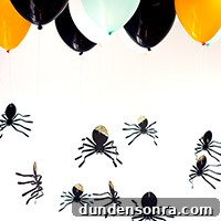 featured 13753