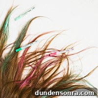 featured 17912