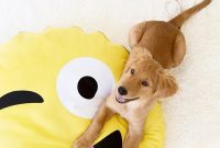DIY Emoji Dog Bed Tutorial: Make a Cute Plush Pet Pillow