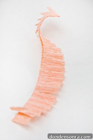 DIY Fringe Heart Pinata