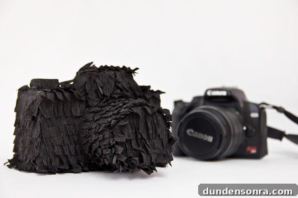 DIY Camera Piñata