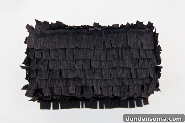 DIY Camera Pinatas