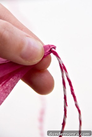 Tissue Paper Tassels