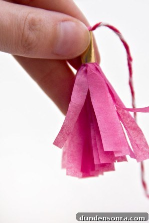 Tassel Garland