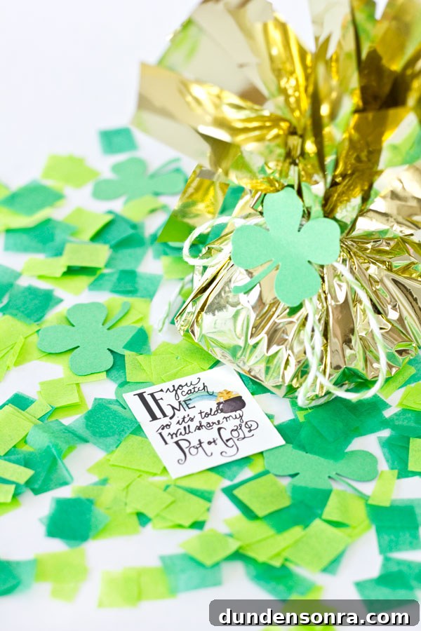 Free Printable St Patricks Day Leprechaun Notes