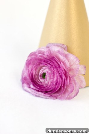 Party Hat DIY