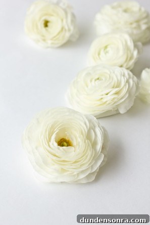 Ranunculus