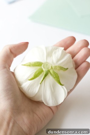 Ranunculus Crafts