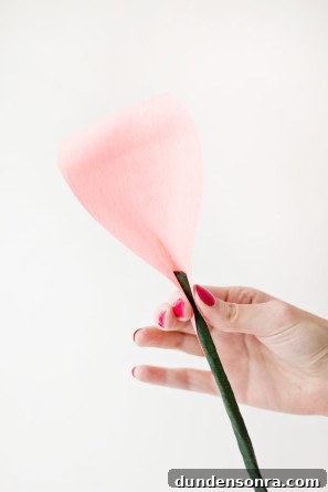 How To Make Giant Crepe Paper Roses2