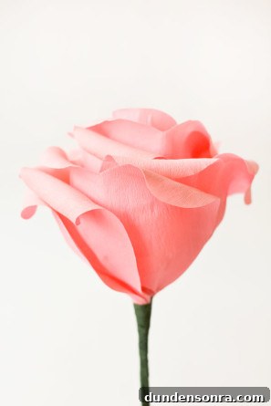 How To Make Giant Crepe Paper Roses3