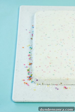 DIY Confetti Marshmallow Number Cakes (Giveaway Closed) 6 How To Make Marshmallows
