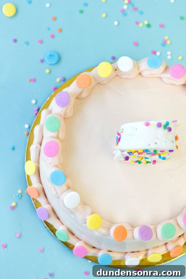 DIY Confetti Marshmallow Number Cakes (Giveaway Closed) 10 Confetti Cake