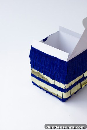 Pinata Box DIY