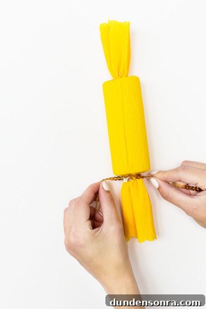 Surprise Message Confetti Poppers: DIY Instructions & Ideas 16 Easy Confetti Popper DIY