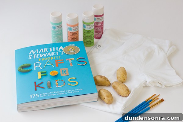 How to Make a Festive DIY Confetti Shirt in Minutes 3 Martha Stewart's Favorite Crafts for Kids Book Giveaway