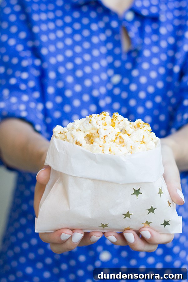 Make Your Own Popcorn Bags: DIY Guide for Parties and Gifts 5 DIY July 4th Popcorn Bags