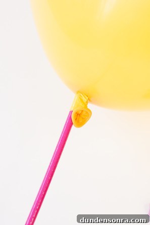 Balloon Wand DIY