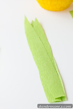 Pineapple Pinata Leaves DIY