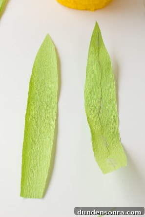 How To Make Crepe Paper Leaves