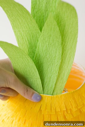 Pineapple DIY