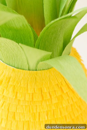Fringe Pineapple DIY