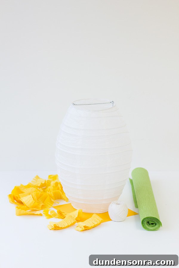 Pineapple Pinata Tutorial