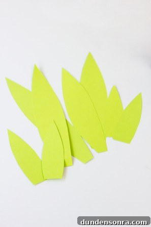 Pineapple Leaves
