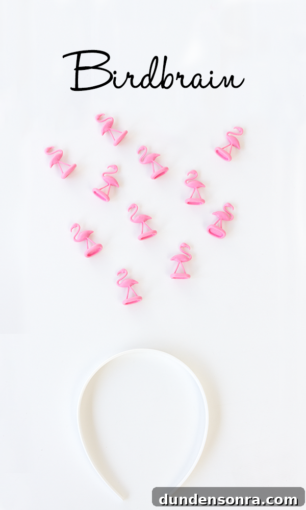 DIY Birdbrain Costume Supplies
