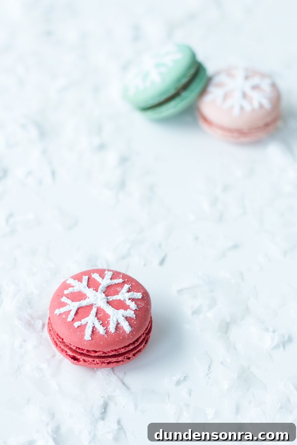 Snowflake Stenciled Macarons