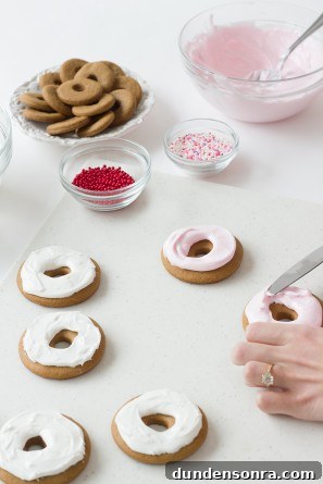 Gingerbread Donut Cookies