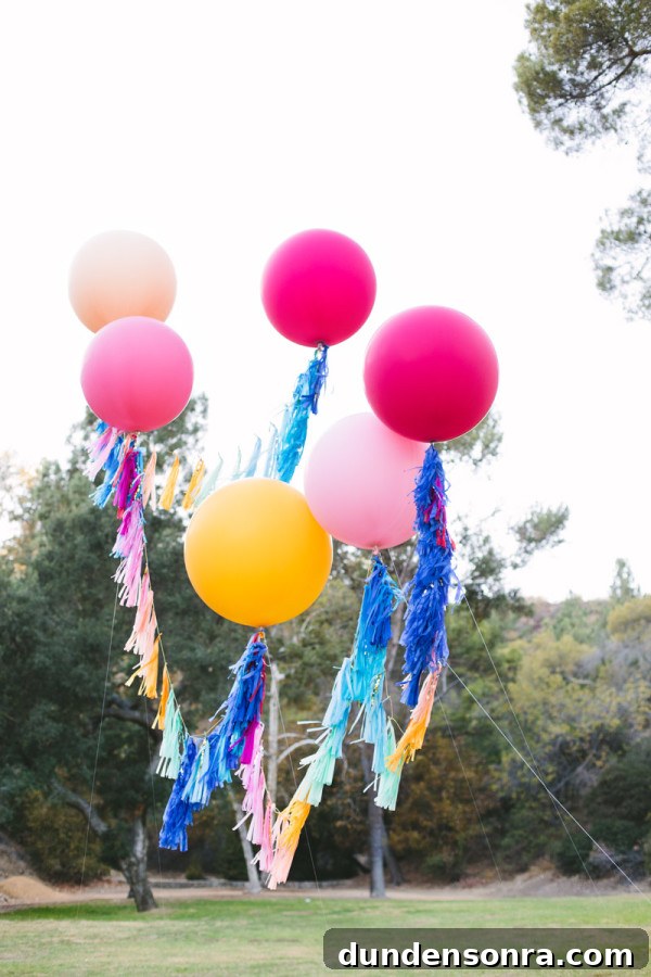 Balloon Proposal