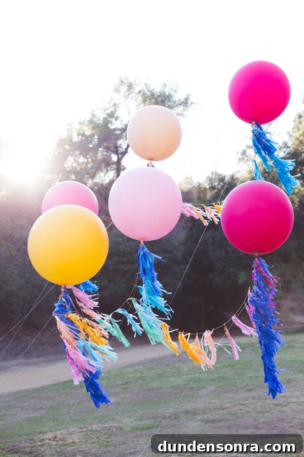 Balloon Proposal