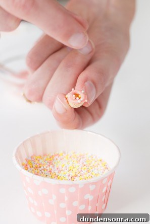 How to Make Colorful Donut Sprinkles at Home 6 How To Make Donut Sprinkles