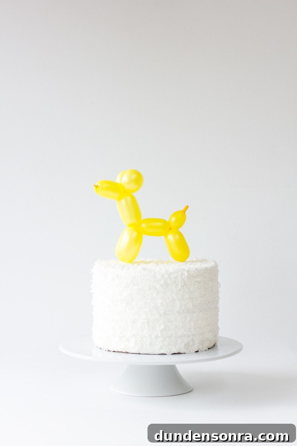 DIY Balloon Animal Cake Topper Ideas for Party Cakes 2 DIY Balloon Animal Cake Topper