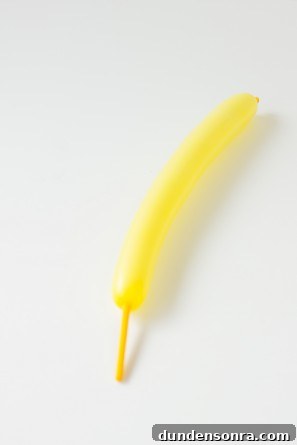 How To Make a Balloon Animal