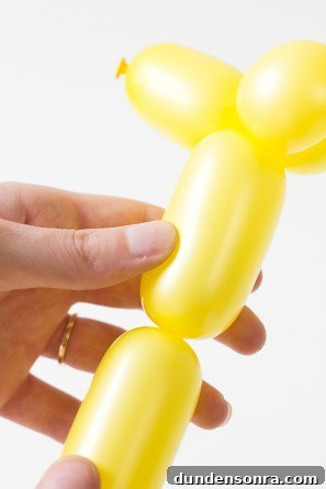 DIY Balloon Animal Cake Topper Ideas for Party Cakes 8 How To Make a Balloon Animal Dog