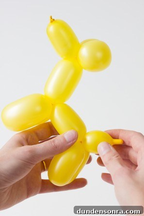 DIY Balloon Animal Cake Topper Ideas for Party Cakes 10 DIY Balloon Animal Cake Topper