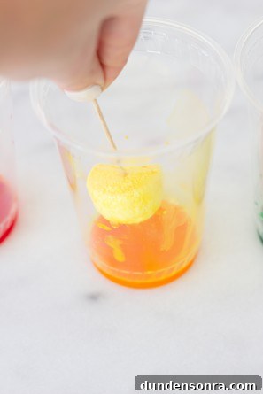 How to Make Marshmallow Drink Stirrers for Parties and Hot Cocoa 8 DIY Rainbow Marshmallow Drink Stirrers