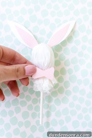 How to Make Adorable Easter Bunny Lollipops at Home 7 DIY Easter Bunny Lollipops