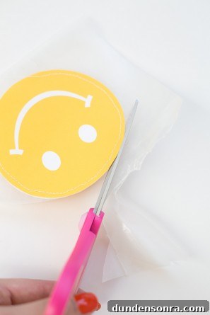DIY Smiley Face Favor Pouches