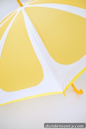 How to Make Colorful Fruit Slice Umbrellas for Drinks 13 DIY Fruit Slice Umbrellas