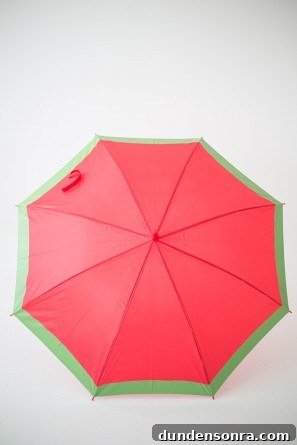 How to Make Colorful Fruit Slice Umbrellas for Drinks 16 DIY Fruit Slice Umbrellas